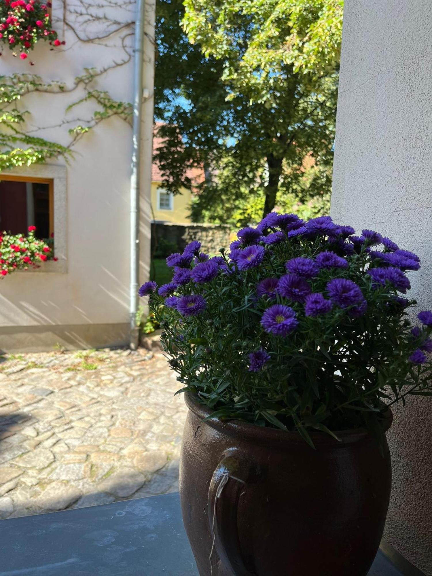 Appartement 5 Predigergasse Bautzen Exterior foto